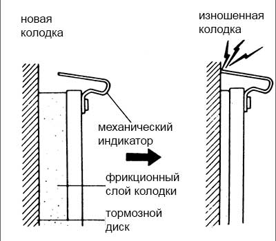 схема усика (скрипуна)